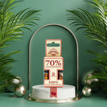 PACK DE 2 CARTOUCHES CBD STICK FRUITS ROUGES - 70%