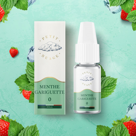 Menthe guariguette